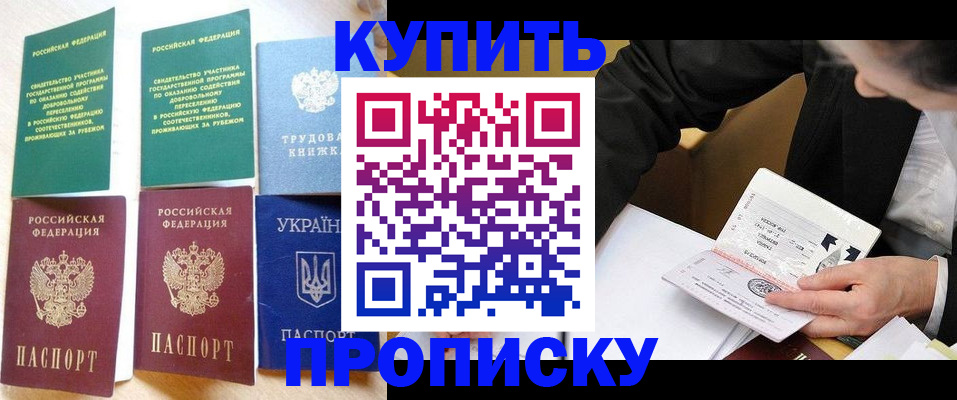 прописка для школы в Камешково